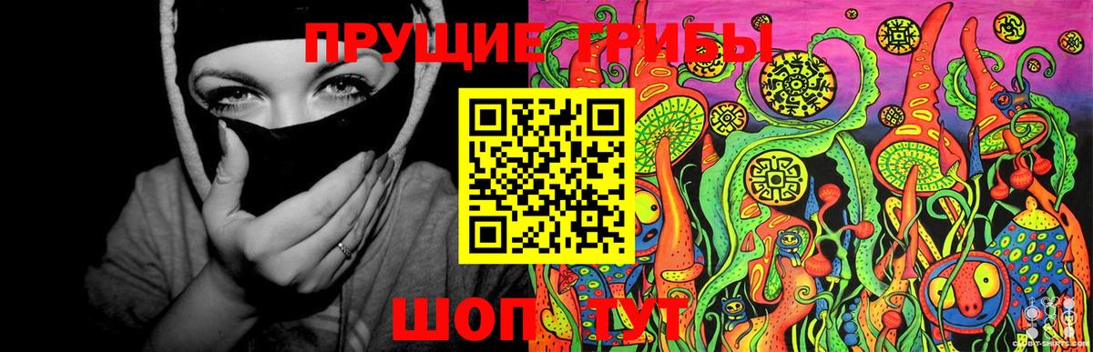 Назрань  Псилоцибиновые грибы ЛСД  Вход с VPN 